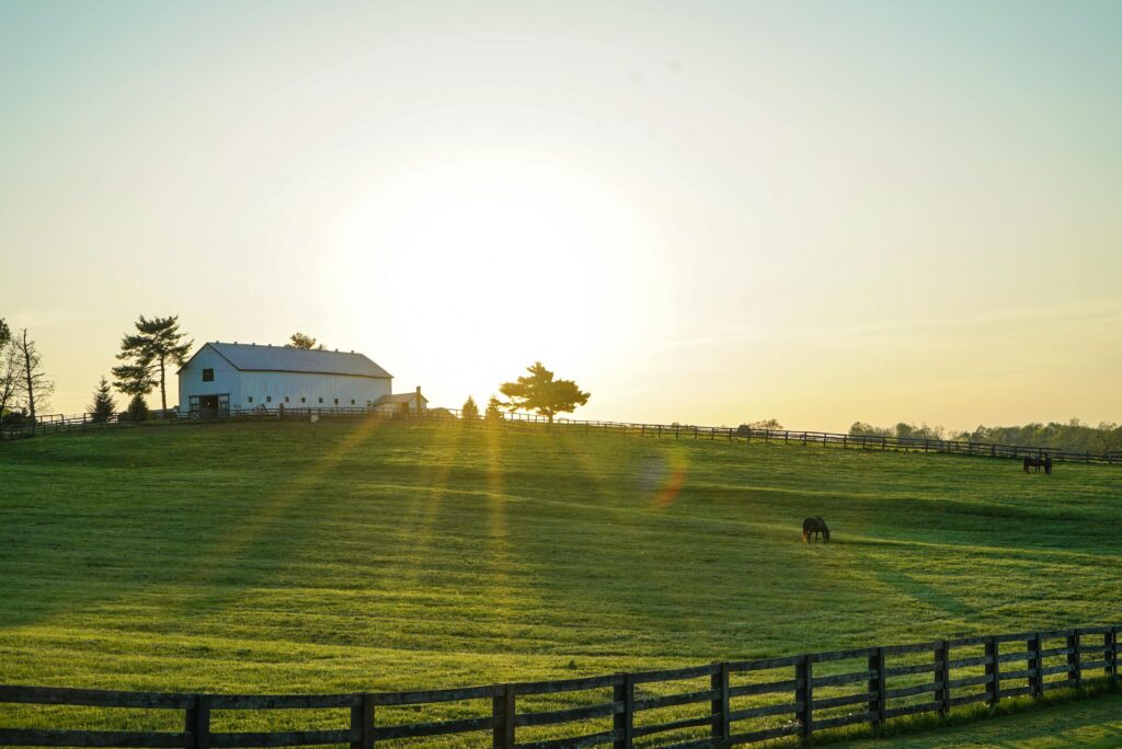 stock photo of farm field from Brandon Randolph (pexels)