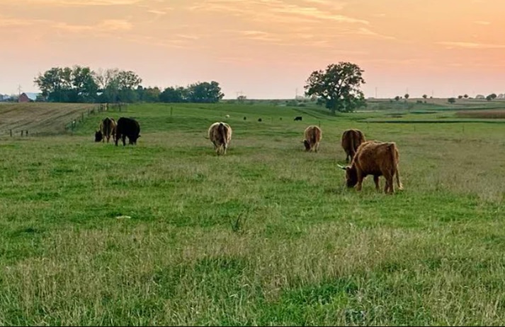 heritage highland farms (partial) image